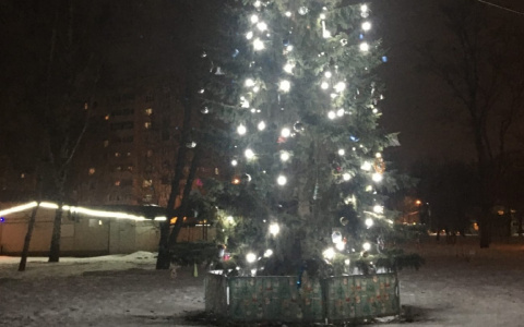 «Может, корни пустит»: ярославцы требуют «разрядить» новогоднюю елку