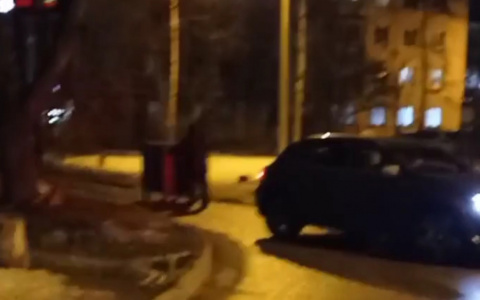 "Мужик бак мусорный спер":  ярославцы обсуждают странное видео в сети