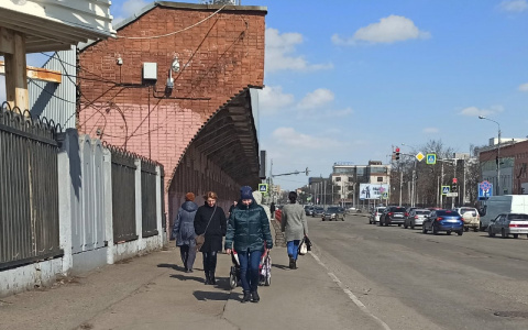 Карантин по чуме в Ярославле: чиновники экстренно обратились к жителям